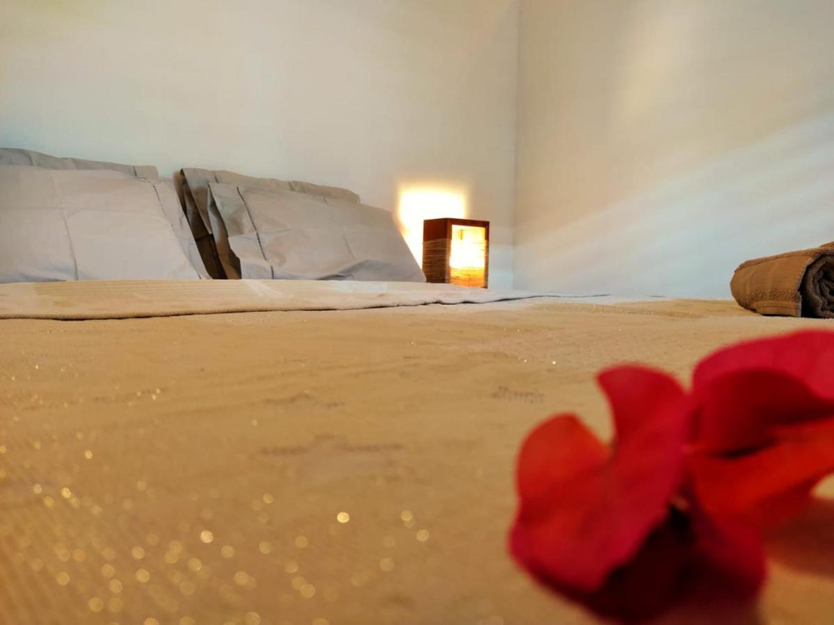 Villa Pitaya Icaraí Dış mekan fotoğraf