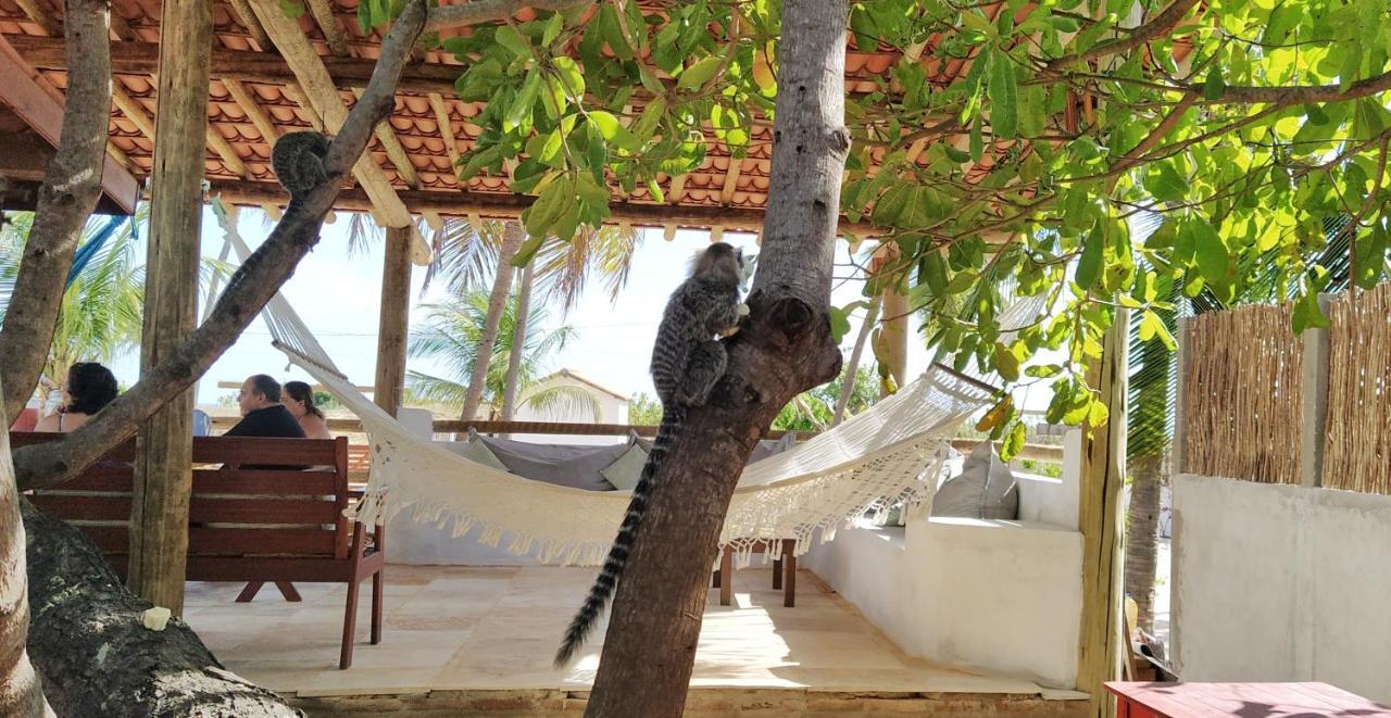Villa Pitaya Icaraí Dış mekan fotoğraf